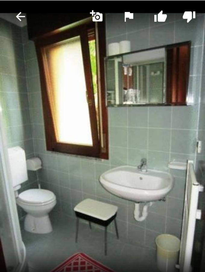 Albergo Alla Pineta Villa Santina Exterior photo